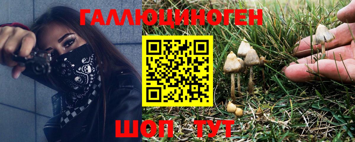 Александров  Псилоцибиновые грибы Cubensis  Псилоцибиновые грибы Magic Shrooms  Вход с VPN 