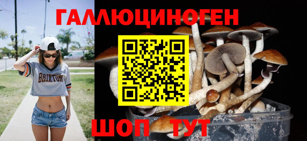 Галлюциногенные грибы ЛСД Александров